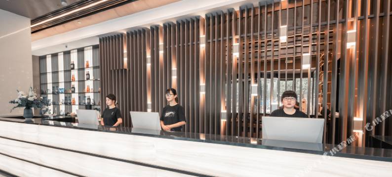 南京明故宫景区苜蓿园大街轻居酒店图片