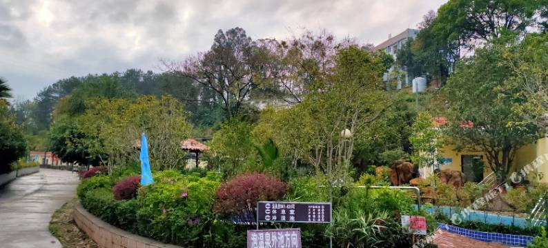 南雄青嶂山温泉旅游度假村图片