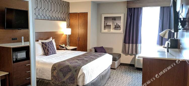 贝斯特韦斯特优质商务优质酒店(Best Western Plus Commerce Hotel)图片