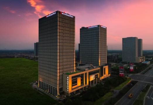 Swisstouches Hotel Nanjing Hotel Overview