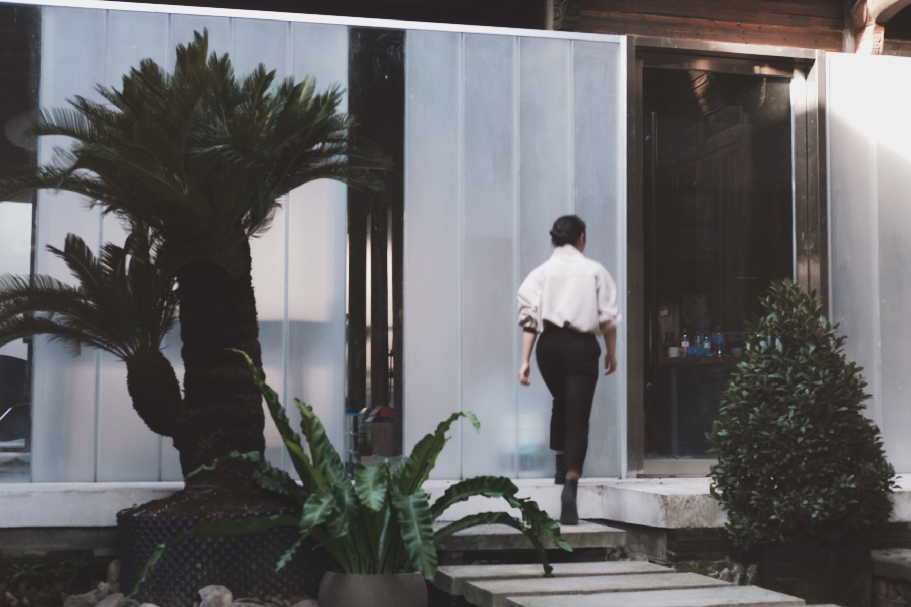 Domus Hostel Over view