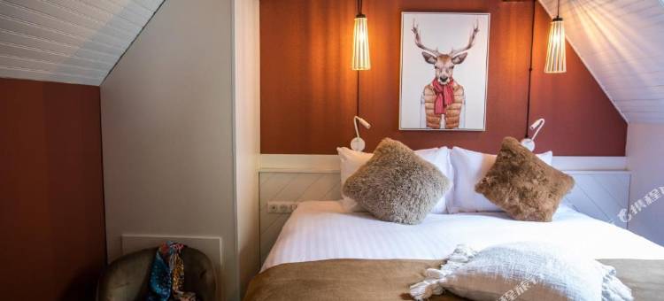 ISKÖ Chalets-HÖTEL, Col d'Aubisque图片