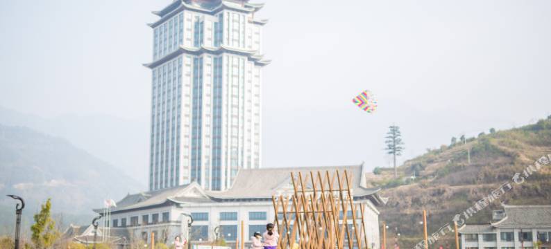 景宁天元名悦大酒店图片