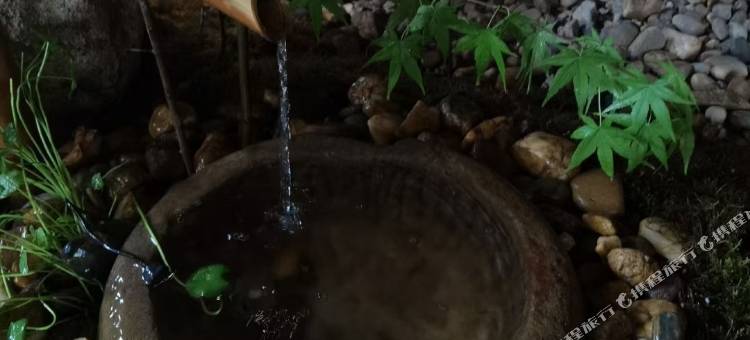 宜春温汤雨后温泉民宿图片