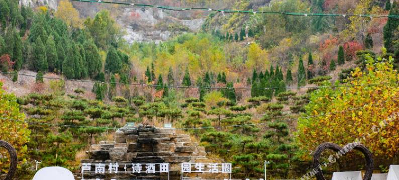 芦南乡创基地度假酒店图片