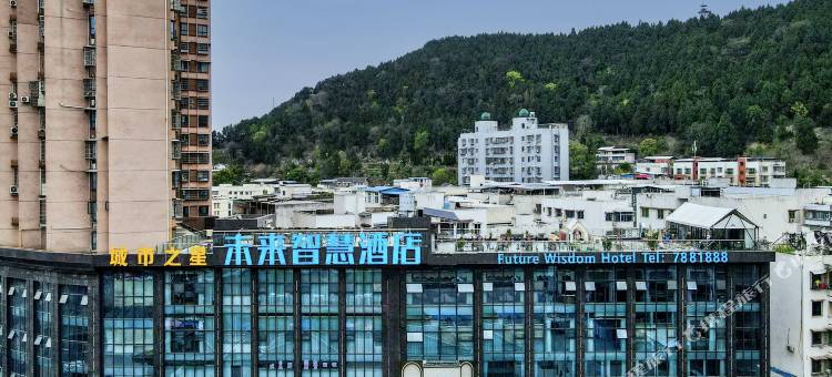 盐亭未来智慧酒店(嫘祖广场笔塔店)图片