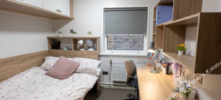 普拉斯·格温大厅加帝夫大学(Plas Gwyn Halls, Cardiff)图片