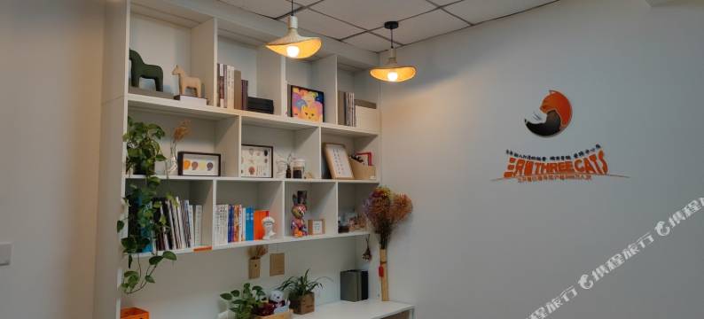 三只猫青旅(爱特购物中心店)图片