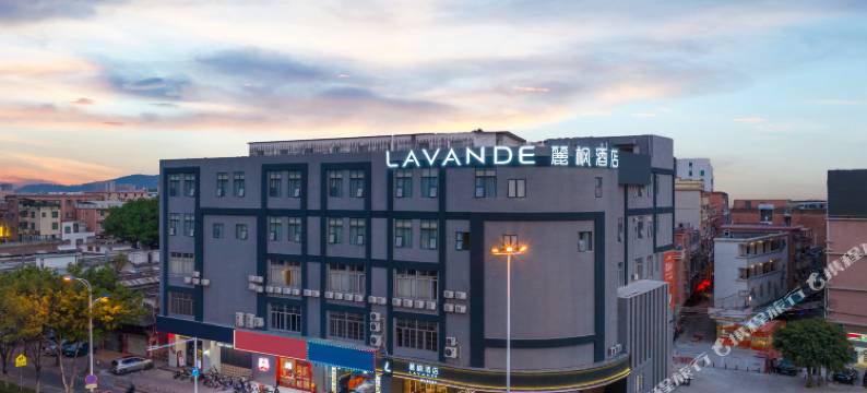 麗枫酒店(广州亚运城石碁地铁站店)图片