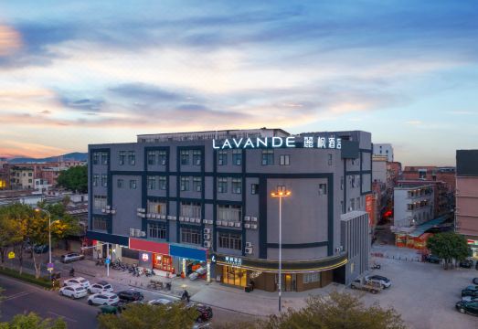 丽枫酒店（广州亚运城石碁地铁站店）外景图