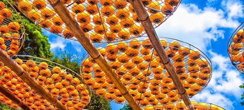 婺源篁岭·山语云舍(婺源篁岭风景区店)图片