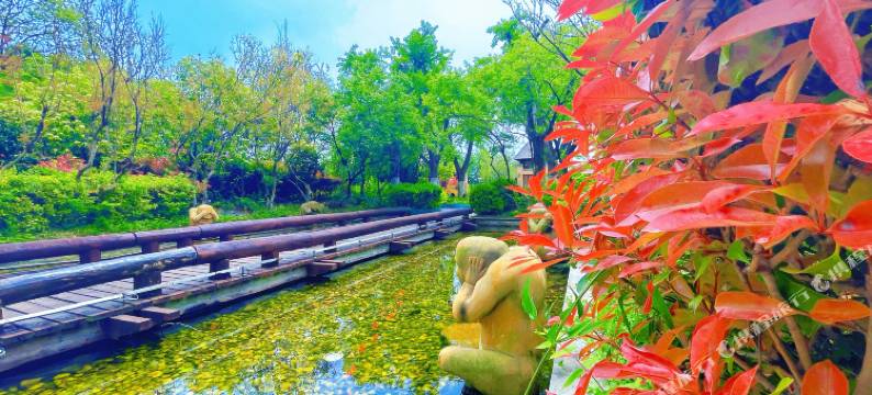 玖海小筑海景民宿(海阳万米海滩店)图片