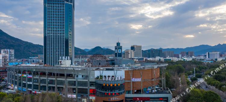 肆隐艺术酒店(温州大学城店)图片