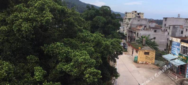 霞浦金中意驿站图片