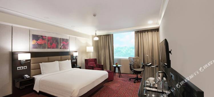 新德里萨凯特希尔顿花园酒店(Hilton Garden Inn New Delhi/Saket)图片