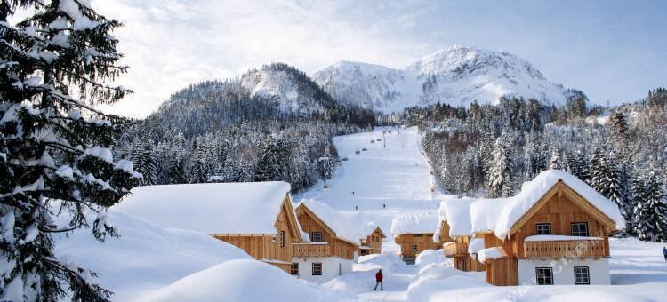 安彭帕克斯奥塔西黑根酒店(AlpenParks Hagan Lodge Altaussee)图片