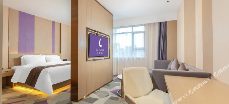 麗枫酒店(东莞大朗松山湖北站店)图片