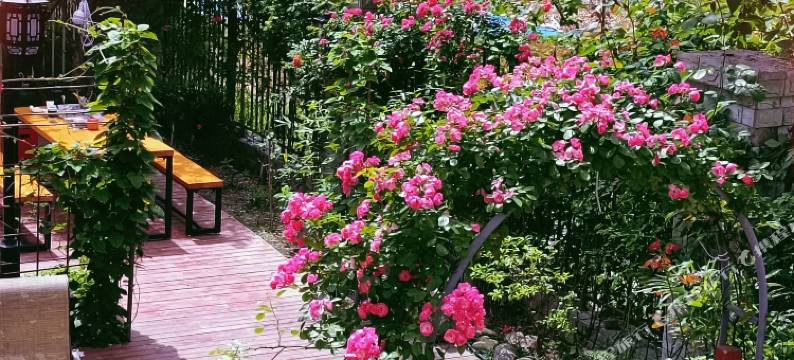 绵阳城市电竞商务宾馆图片