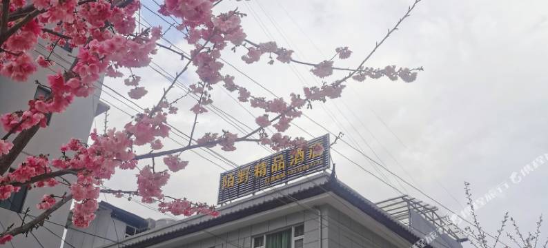 陌野精品酒店图片