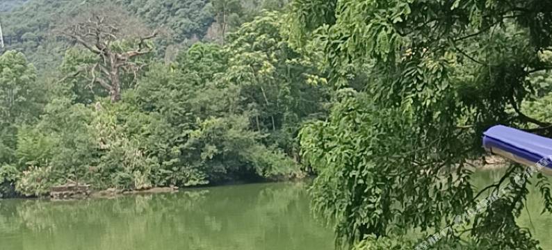 桐庐大母山农家乐图片