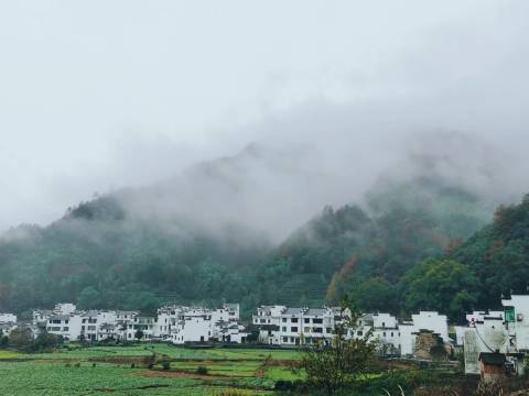 山谷里青年公园青旅