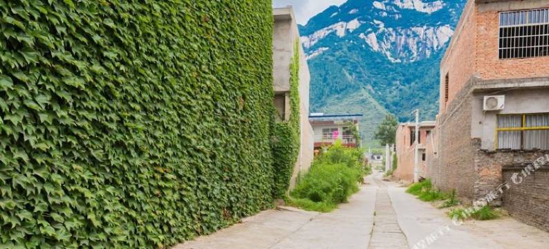 楠溪民宿(华山景区玉泉院店)图片