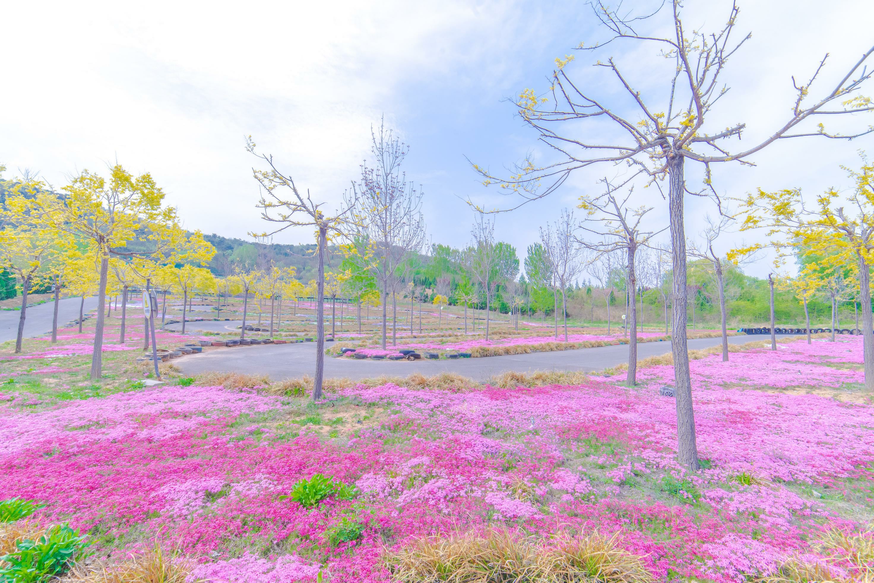 Yishui Yunzhu Homestay (Natural Underground Gallery Tourist Scenic Area) Over view