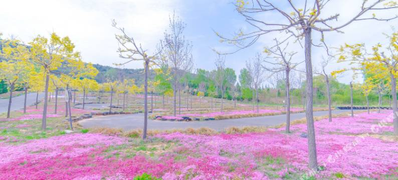 沂水云竹民宿(天然地下画廊旅游风景区店)图片