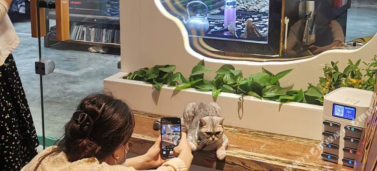 肇兴侗寨逸心居民宿图片