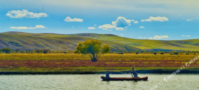 黑山头金色牧场民宿图片