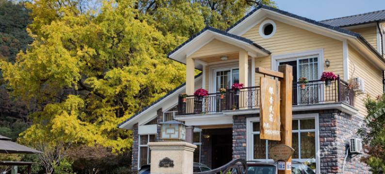 杭州银杏民宿图片