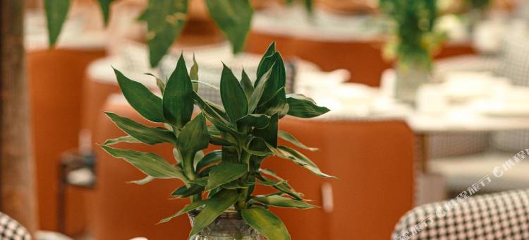 巴中江湾酒店(江湾城店)图片