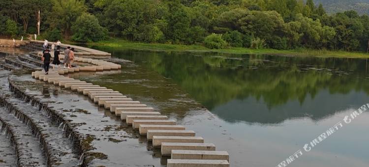 素栖民宿(安吉竹博园店)图片