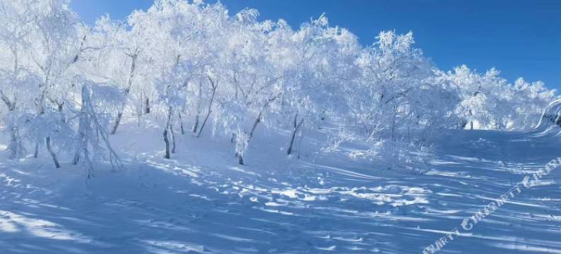 雪乡北屿山雪民宿(雪韵大街店)图片