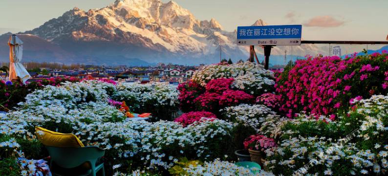 Date·屋顶雪山观景花海咖啡•民宿(古城花马街店)图片