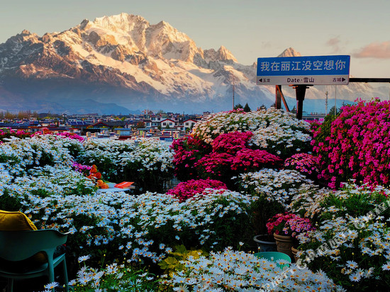 Date·屋顶雪山观景花海咖啡•民宿(古城花马街店)