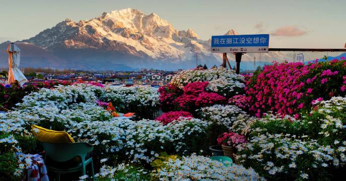 Date·屋顶雪山观景花海咖啡•民宿(古城花马街店)