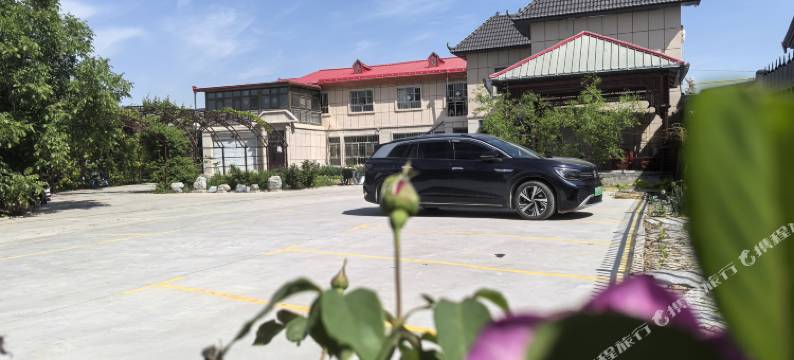 霍尔果斯七天民宿图片