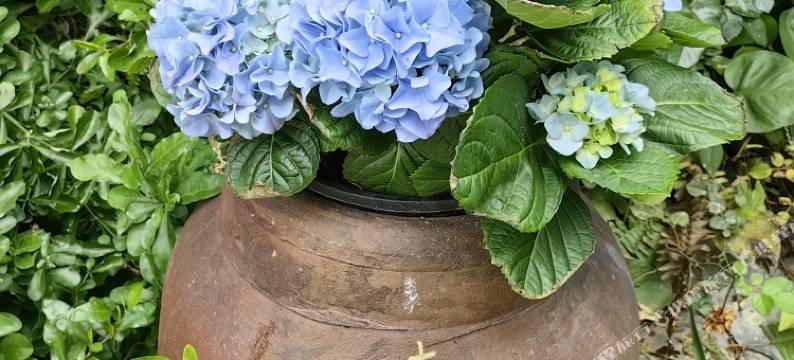 清山小院(丹霞山景区店)图片