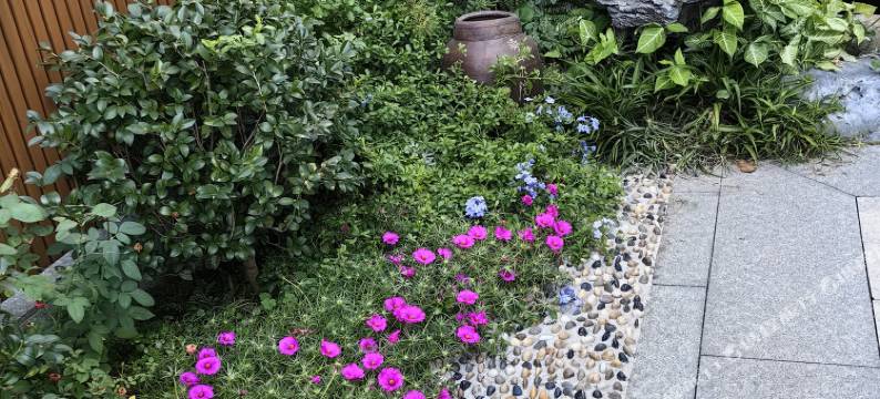 清山小院(丹霞山景区店)图片