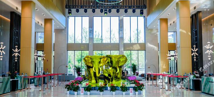 安吉中南度假·东非草原酒店图片