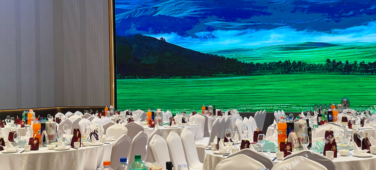 乌鲁木齐城投万达嘉华酒店图片