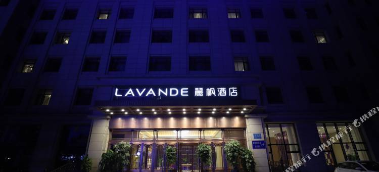 麗枫酒店(长春高新硅谷大街店)图片