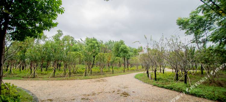 途泊拉酒店(江陵店)图片