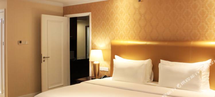 棉兰阿迪穆利亚酒店(Adimulia Hotel Medan)图片