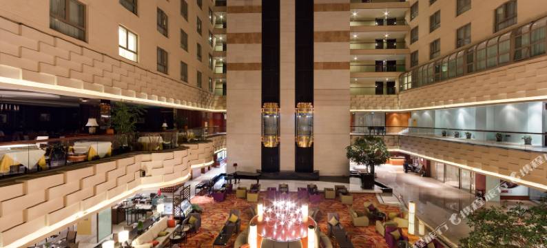 国际艺苑大酒店图片