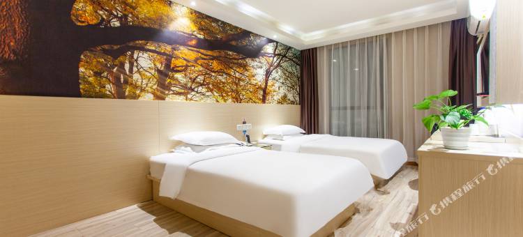 茉莉花开连锁酒店(成都金融城店)图片