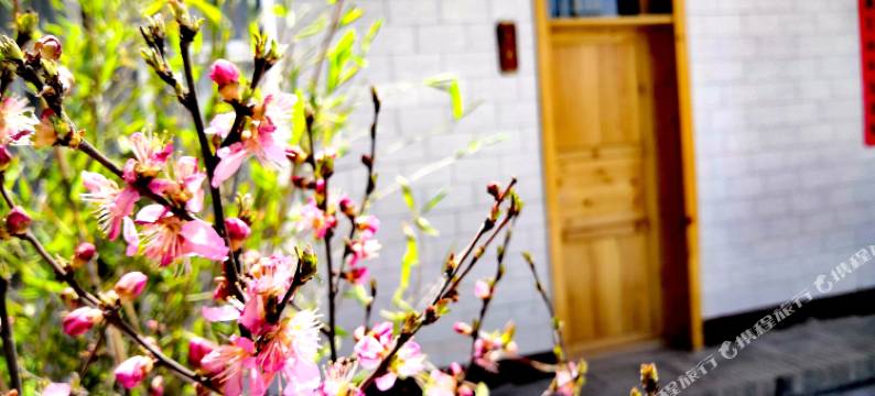 隆德老巷子天天民宿图片