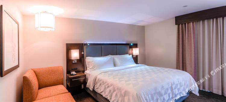 新奥尔良市区超圆屋顶体育场假日酒店(Holiday Inn New Orleans-Downtown Superdome)图片