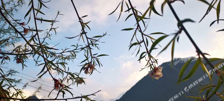 波密寻找一千遍民宿图片